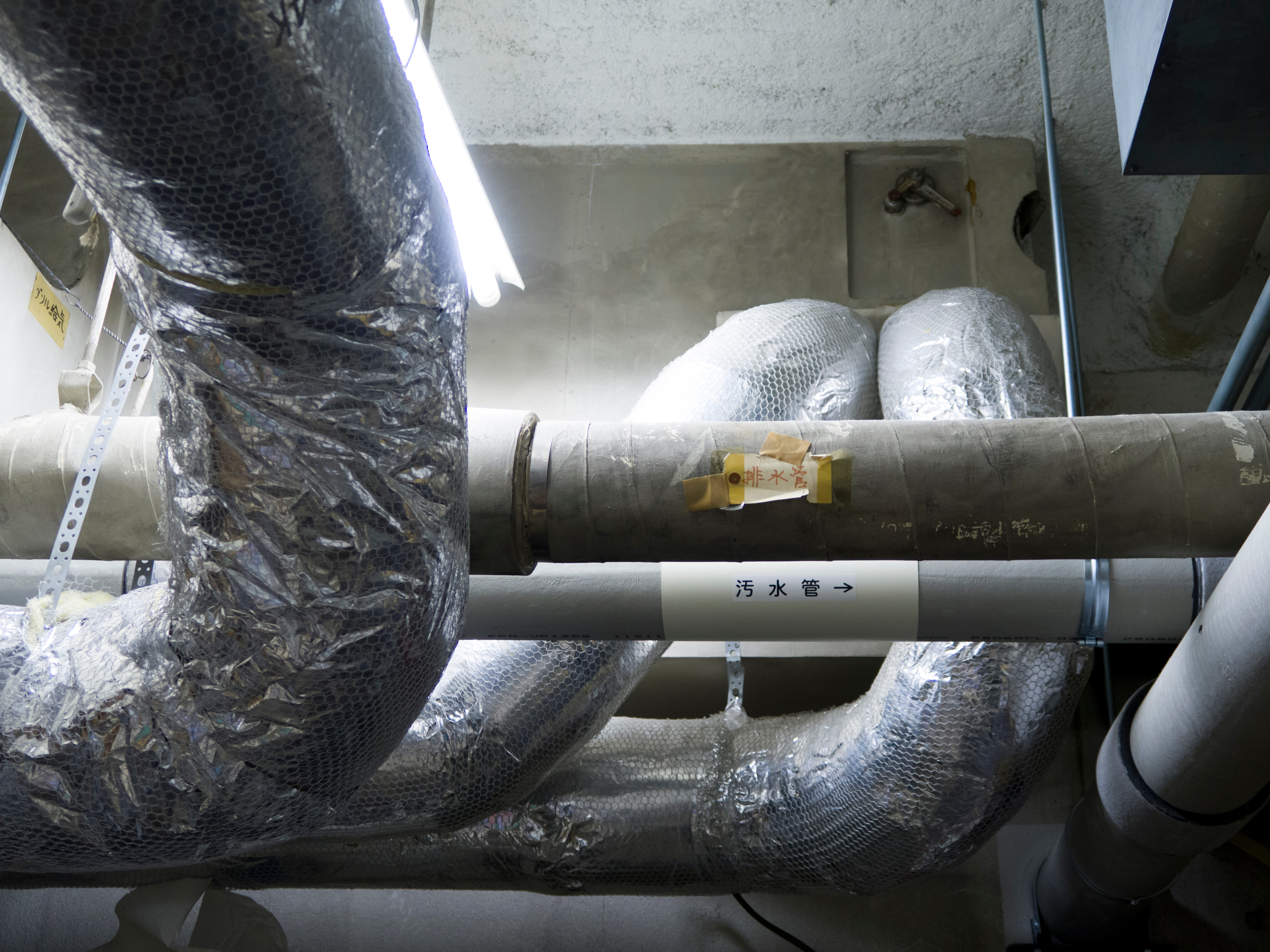 AdobeStock_1722187934